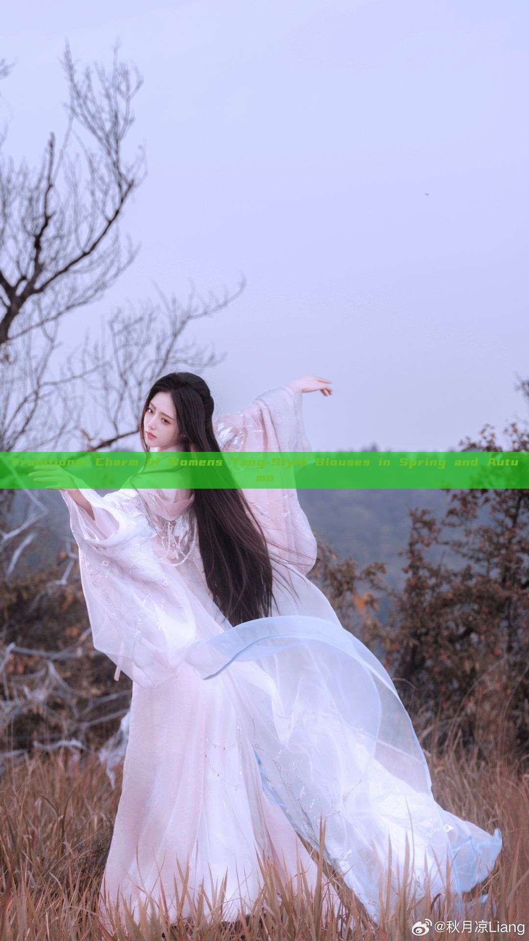 Traditional Charm of Womens Tang-Style Blouses in Spring and Autumn Traditional Charm of Womens Tang-Style Blouses in Spring and Autumn