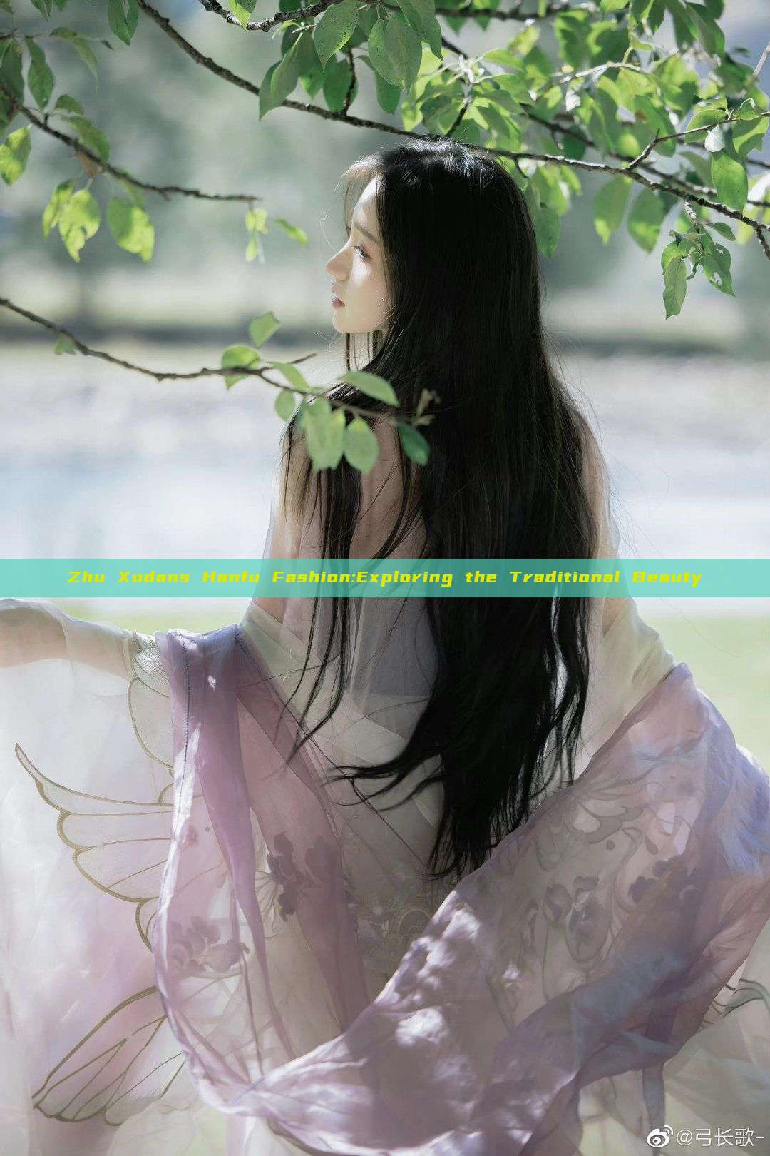 Zhu Xudans Hanfu Fashion:Exploring the Traditional Beauty Zhu Xudans Hanfu Fashion:Exploring the Traditional Beauty