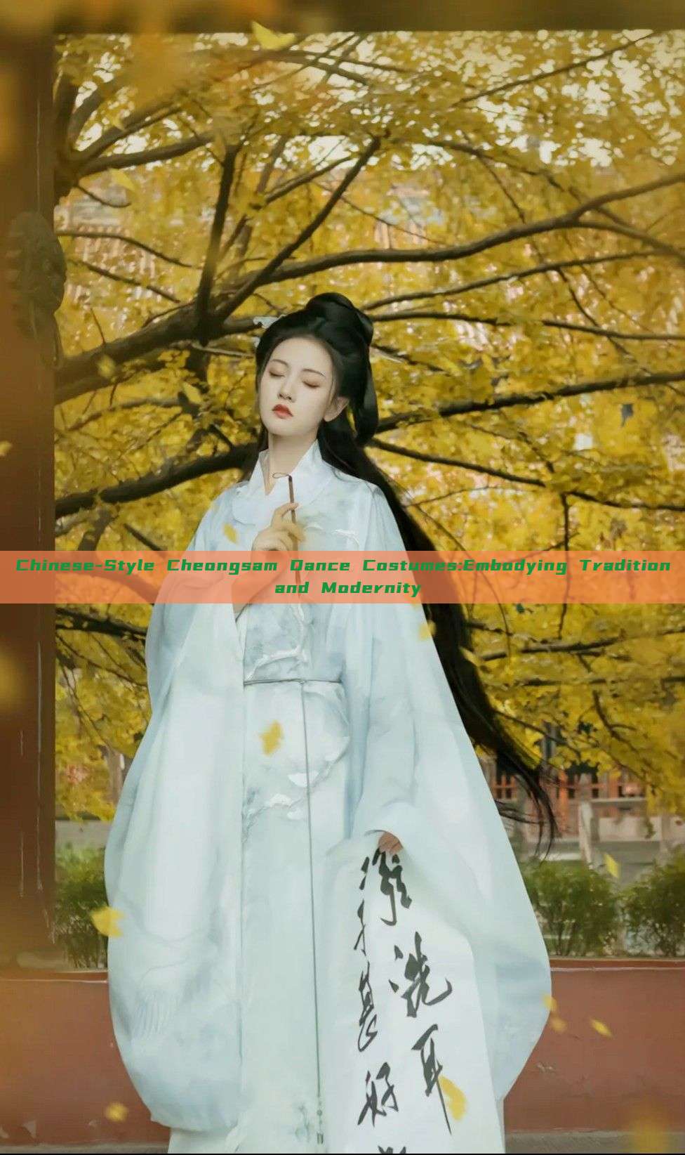 Chinese-Style Cheongsam Dance Costumes:Embodying Tradition and Modernity Chinese-Style Cheongsam Dance Costumes:Embodying Tradition and Modernity