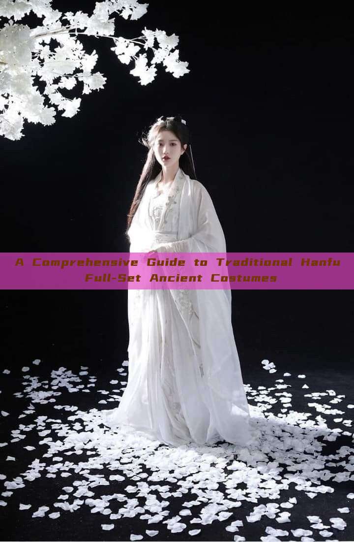 A Comprehensive Guide to Traditional Hanfu Full-Set Ancient Costumes A Comprehensive Guide to Traditional Hanfu Full-Set Ancient Costumes