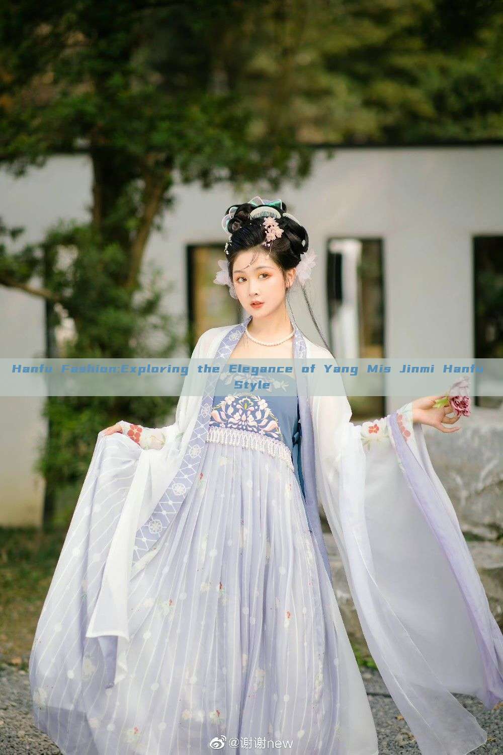 Hanfu Fashion:Exploring the Elegance of Yang Mis Jinmi Hanfu Style