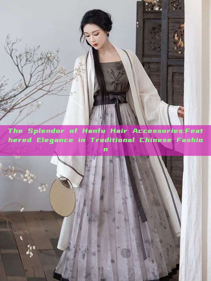 The Splendor of Hanfu Hair Accessories:Feathered Elegance in Traditional Chinese Fashion The Splendor of Hanfu Hair Accessories:Feathered Elegance in Traditional Chinese Fashion
