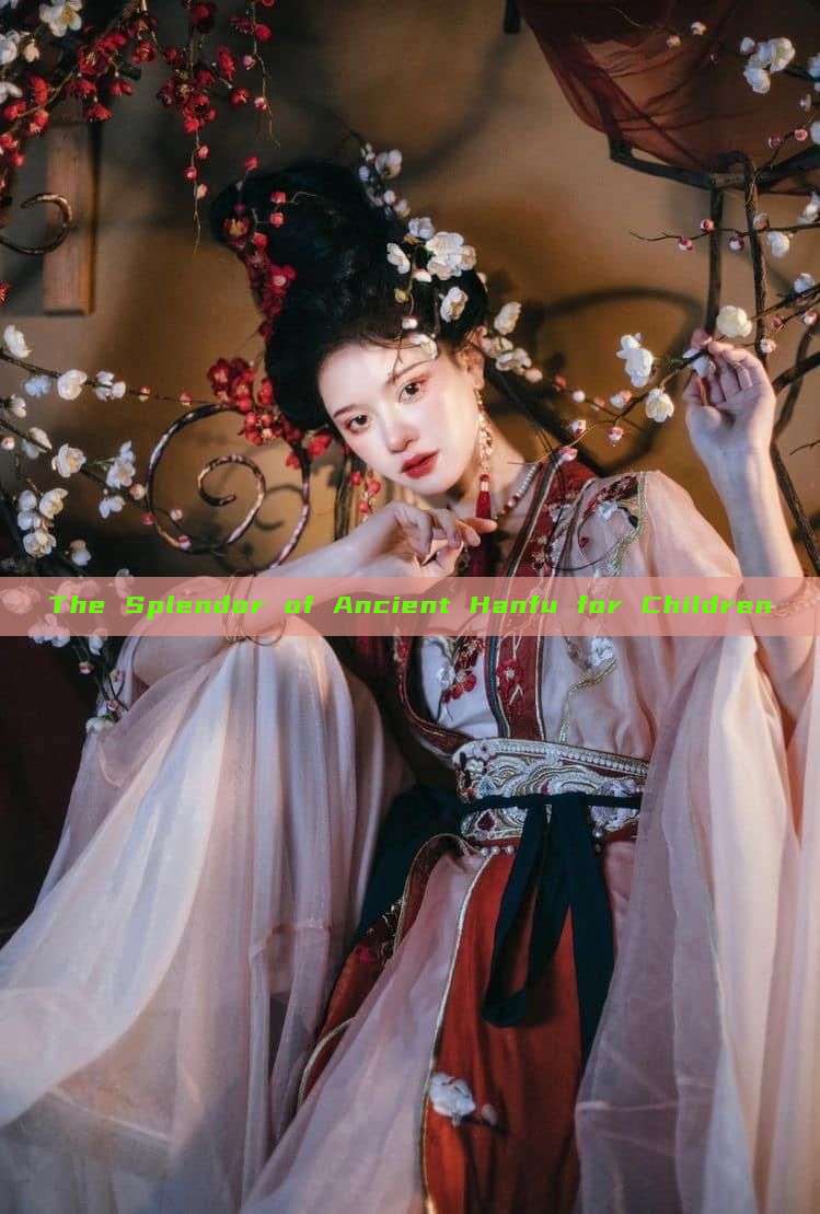 The Splendor of Ancient Hanfu for Children The Splendor of Ancient Hanfu for Children