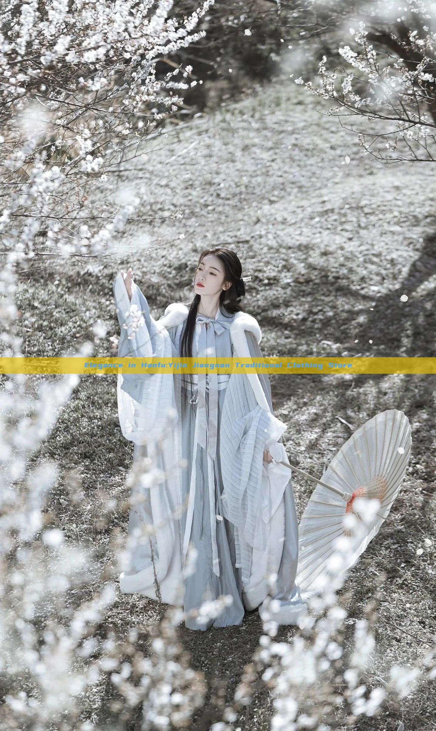 Elegance in Hanfu:Yijin Jiangnan Traditional Clothing Store Elegance in Hanfu:Yijin Jiangnan Traditional Clothing Store