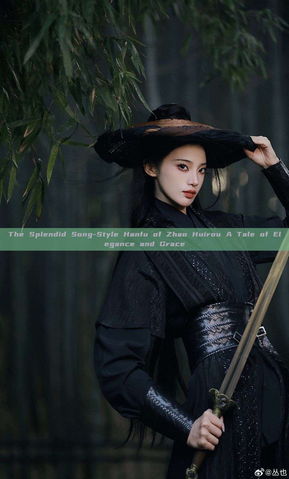 The Splendid Song-Style Hanfu of Zhao Huirou A Tale of Elegance and Grace The Splendid Song-Style Hanfu of Zhao Huirou A Tale of Elegance and Grace