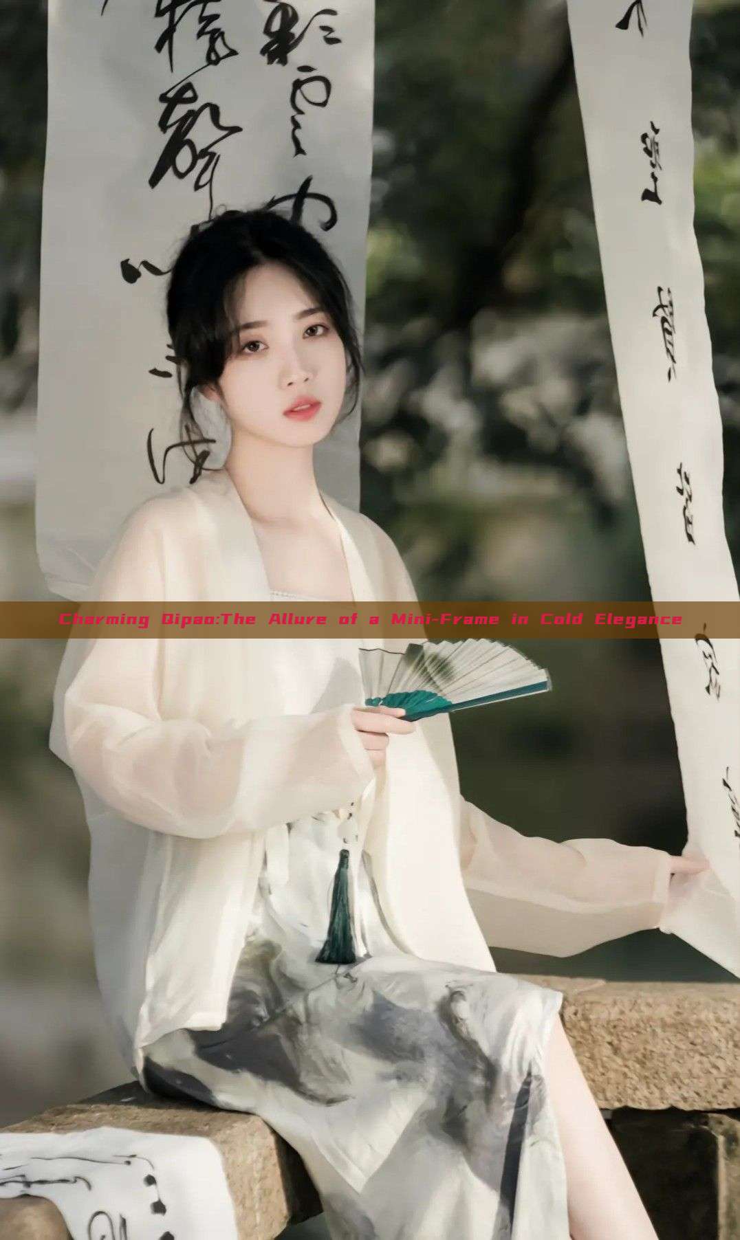 Charming Qipao:The Allure of a Mini-Frame in Cold Elegance