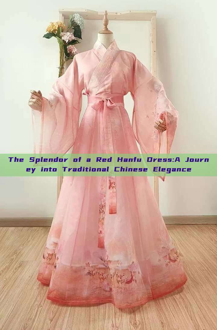The Splendor of a Red Hanfu Dress:A Journey into Traditional Chinese Elegance The Splendor of a Red Hanfu Dress:A Journey into Traditional Chinese Elegance