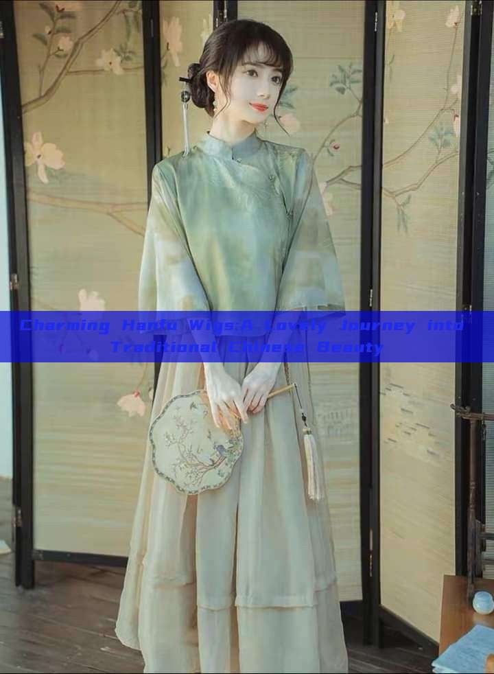 Charming Hanfu Wigs:A Lovely Journey into Traditional Chinese Beauty