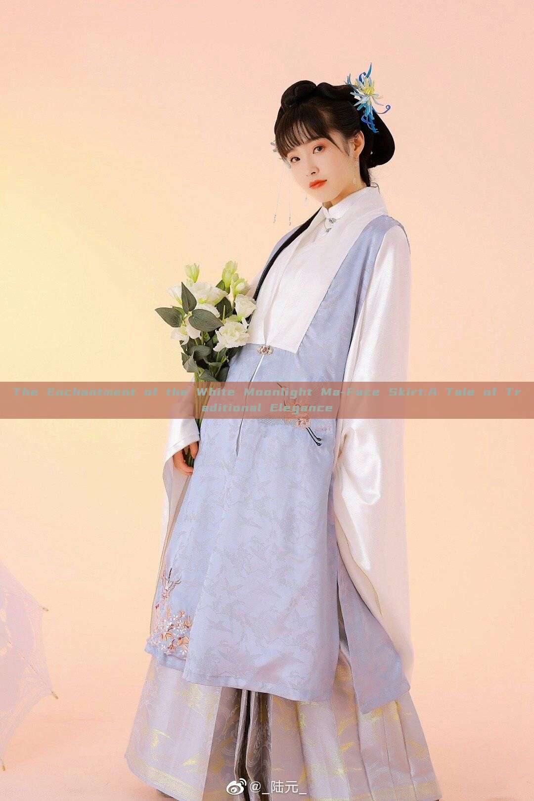 The Enchantment of the White Moonlight Ma-Face Skirt:A Tale of Traditional Elegance The Enchantment of the White Moonlight Ma-Face Skirt:A Tale of Traditional Elegance
