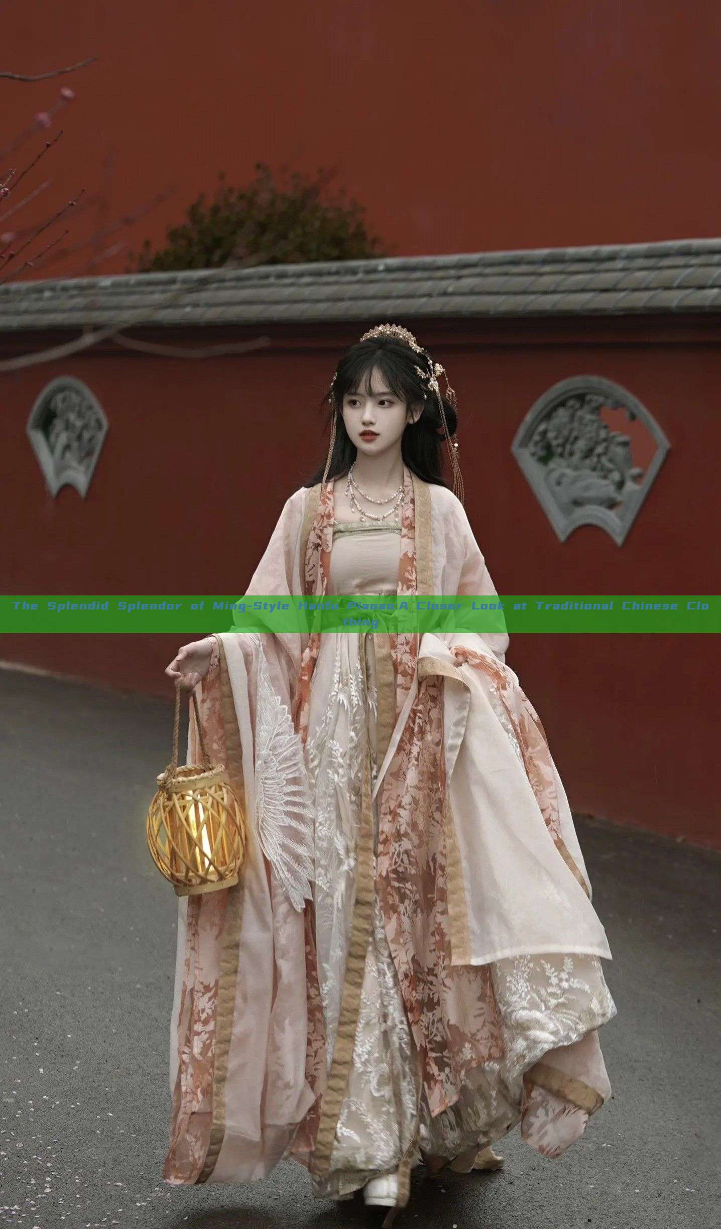 The Splendid Splendor of Ming-Style Hanfu Piaoao:A Closer Look at Traditional Chinese Clothing The Splendid Splendor of Ming-Style Hanfu Piaoao:A Closer Look at Traditional Chinese Clothing