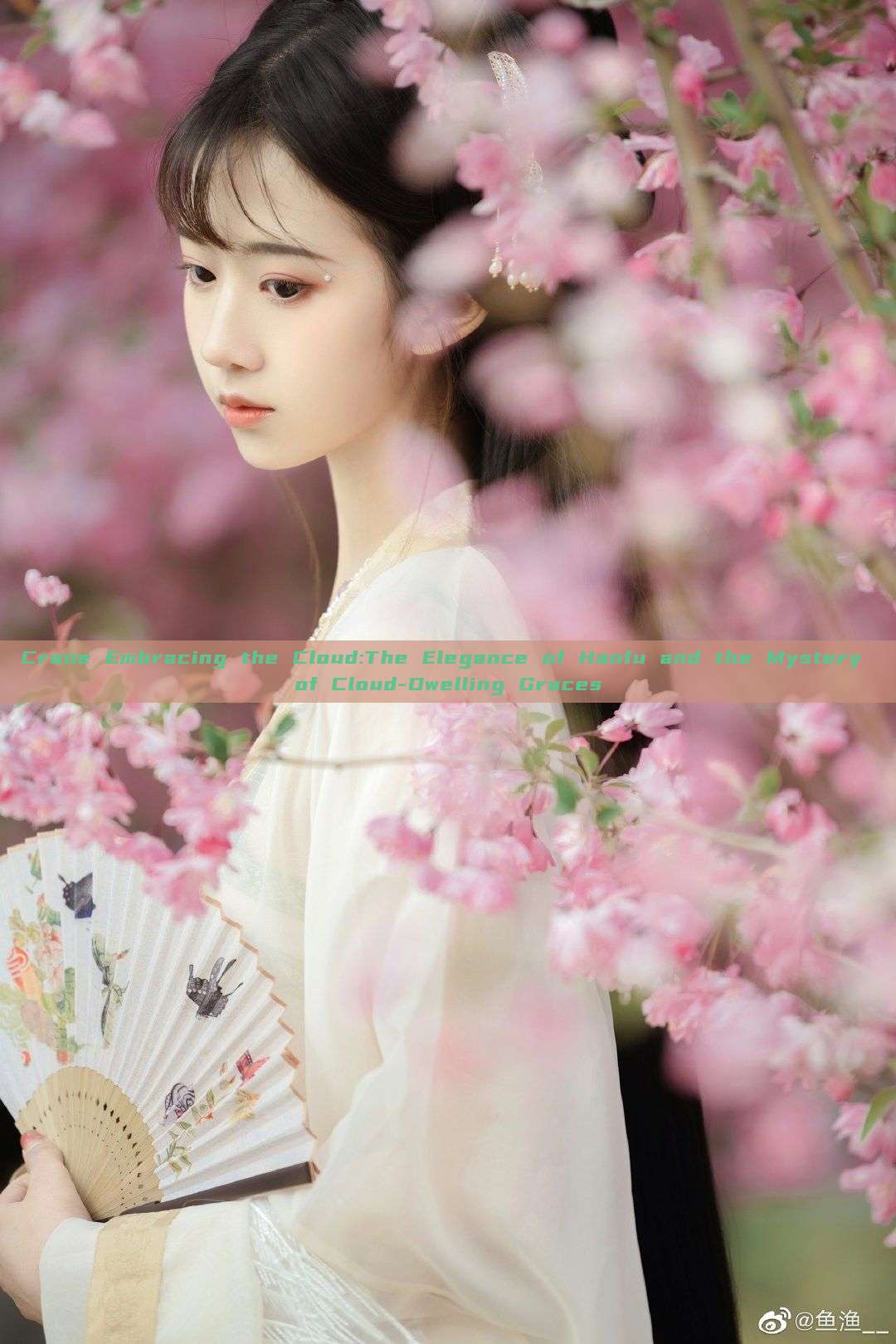 Crane Embracing the Cloud:The Elegance of Hanfu and the Mystery of Cloud-Dwelling Graces Crane Embracing the Cloud:The Elegance of Hanfu and the Mystery of Cloud-Dwelling Graces