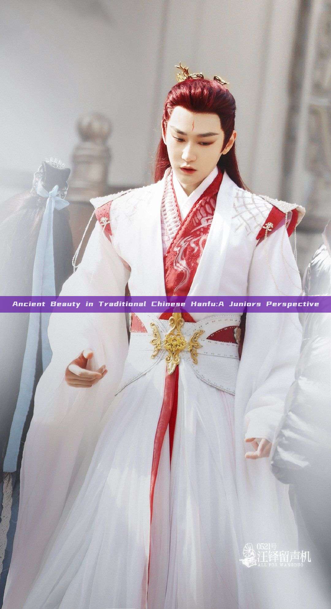 Ancient Beauty in Traditional Chinese Hanfu:A Juniors Perspective Ancient Beauty in Traditional Chinese Hanfu:A Juniors Perspective