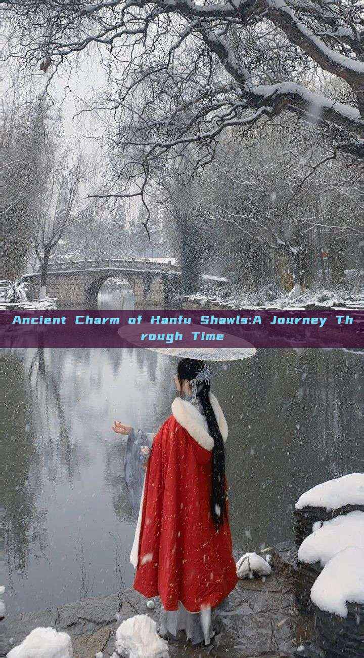 Ancient Charm of Hanfu Shawls:A Journey Through Time Ancient Charm of Hanfu Shawls:A Journey Through Time