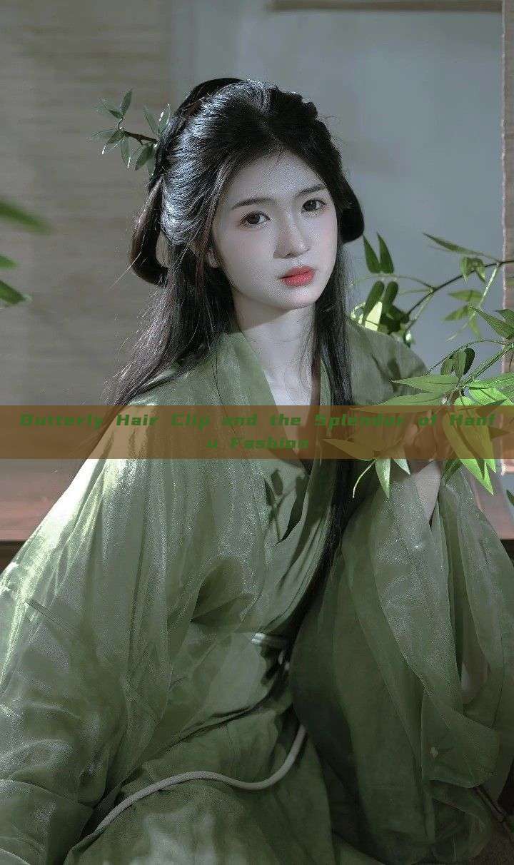 Butterly Hair Clip and the Splendor of Hanfu Fashion Butterly Hair Clip and the Splendor of Hanfu Fashion