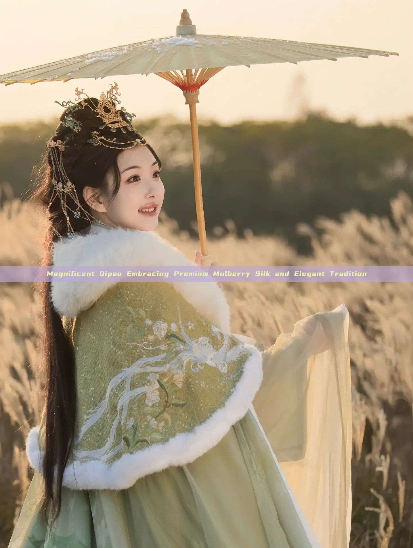 Magnificent Qipao Embracing Premium Mulberry Silk and Elegant Tradition Magnificent Qipao Embracing Premium Mulberry Silk and Elegant Tradition