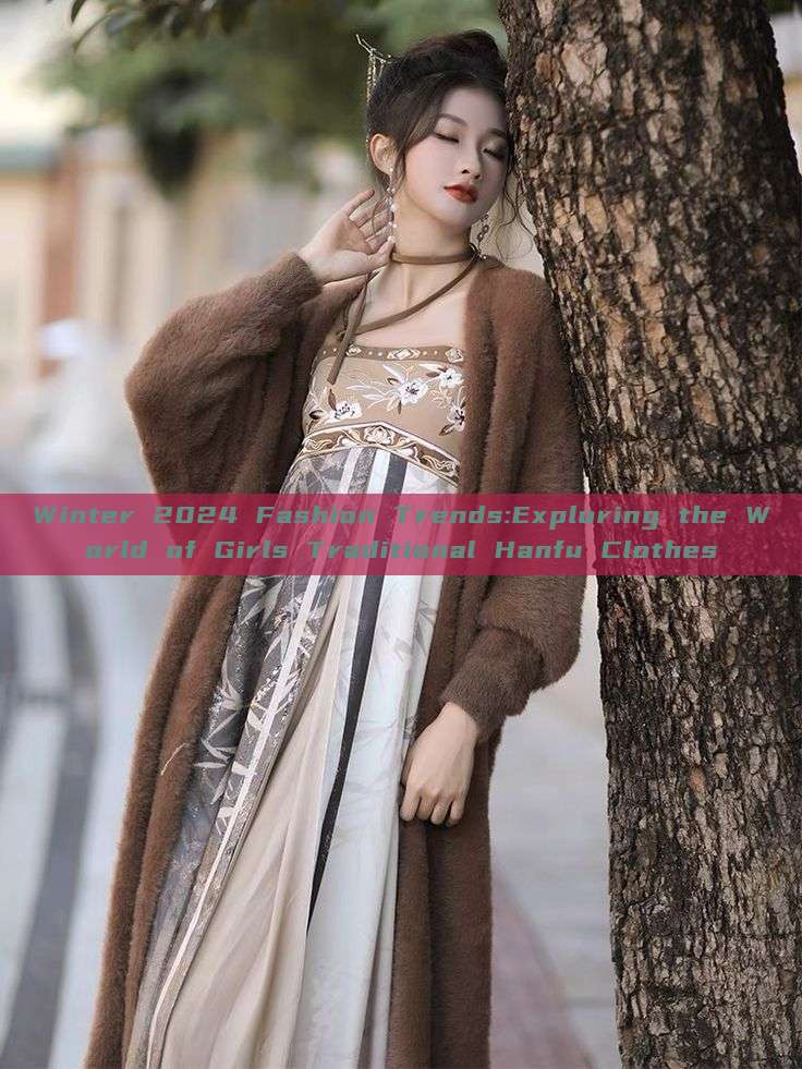 Winter 2024 Fashion Trends:Exploring the World of Girls Traditional Hanfu Clothes Winter 2024 Fashion Trends:Exploring the World of Girls Traditional Hanfu Clothes