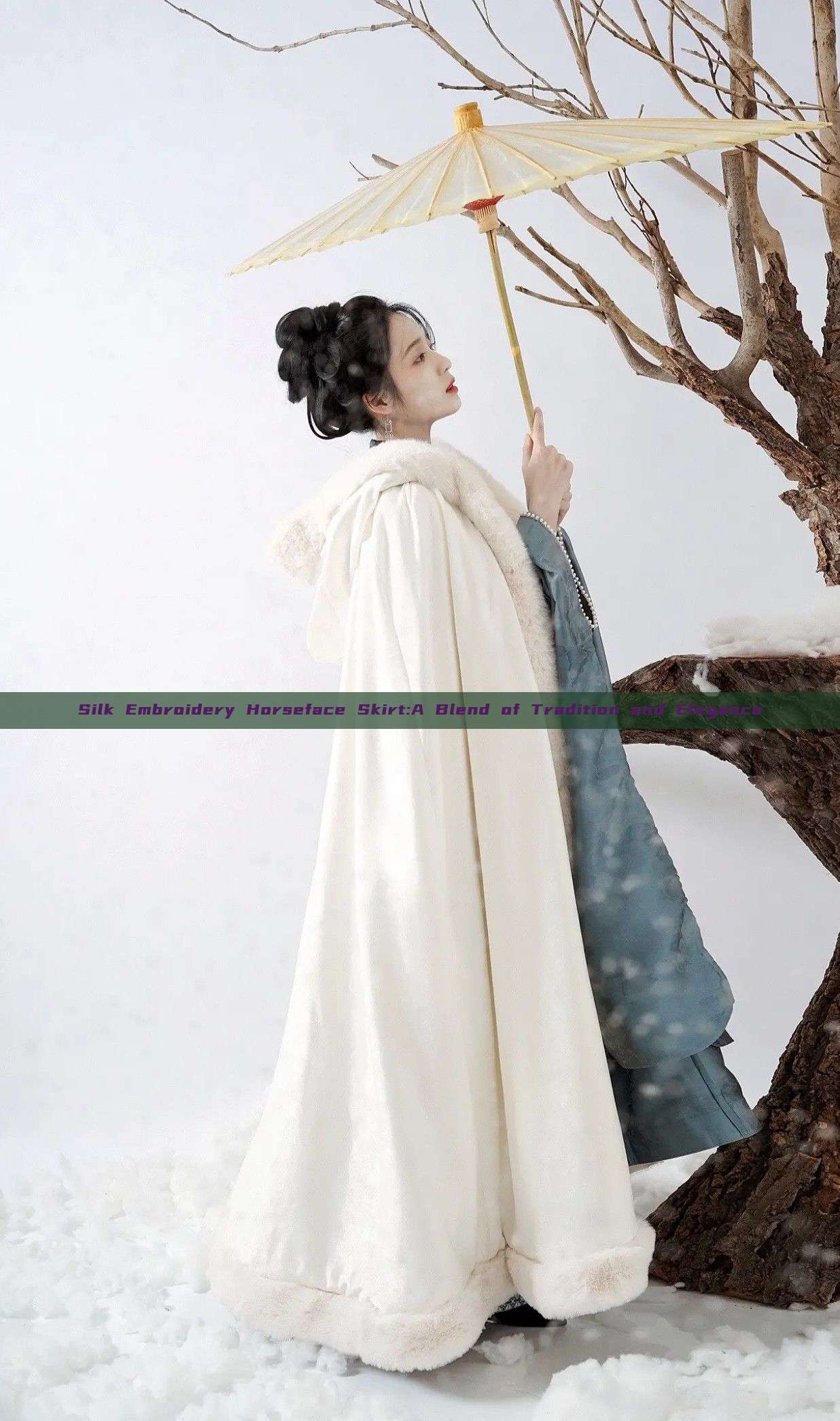Silk Embroidery Horseface Skirt:A Blend of Tradition and Elegance Silk Embroidery Horseface Skirt:A Blend of Tradition and Elegance