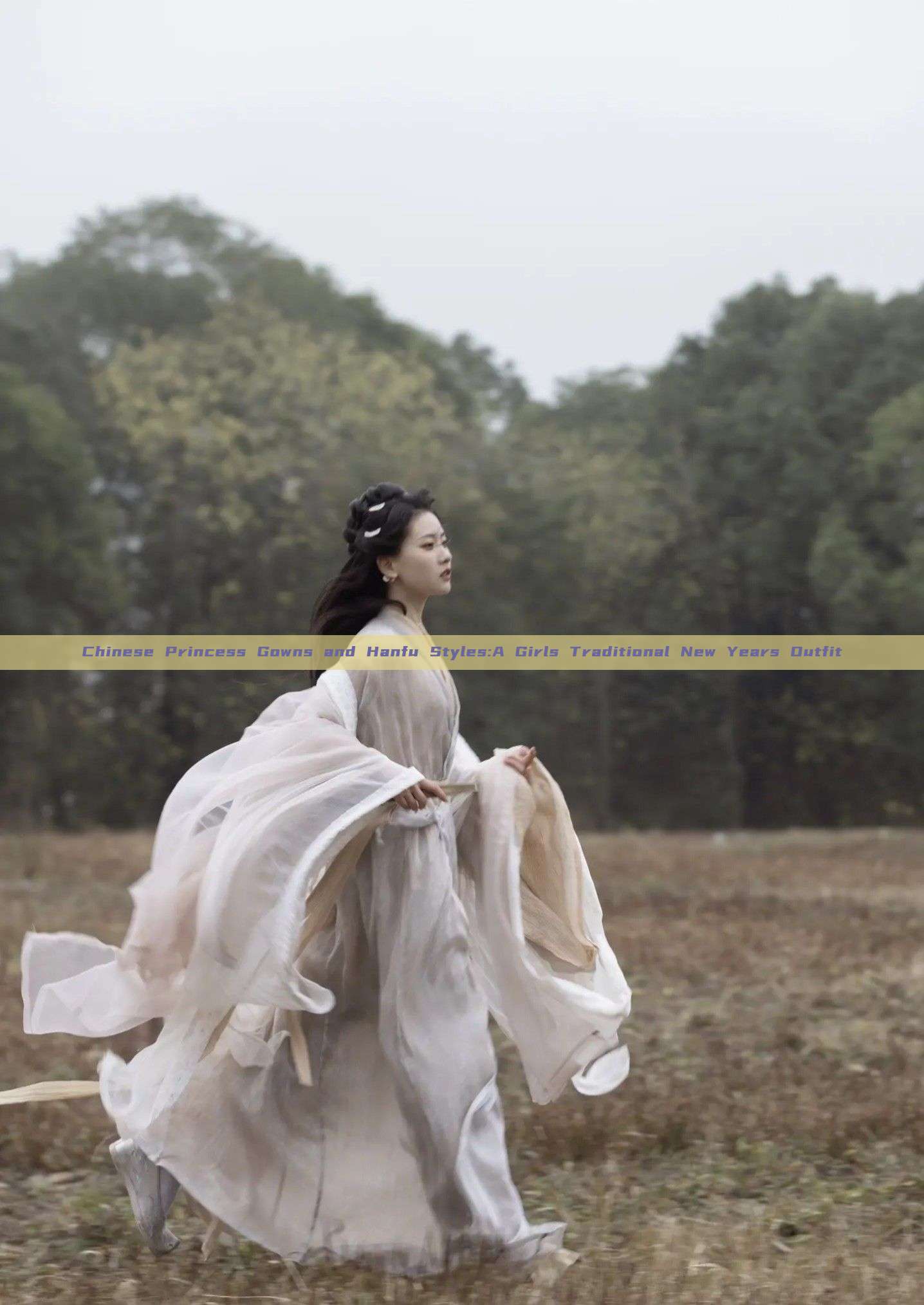 Chinese Princess Gowns and Hanfu Styles:A Girls Traditional New Years Outfit Chinese Princess Gowns and Hanfu Styles:A Girls Traditional New Years Outfit