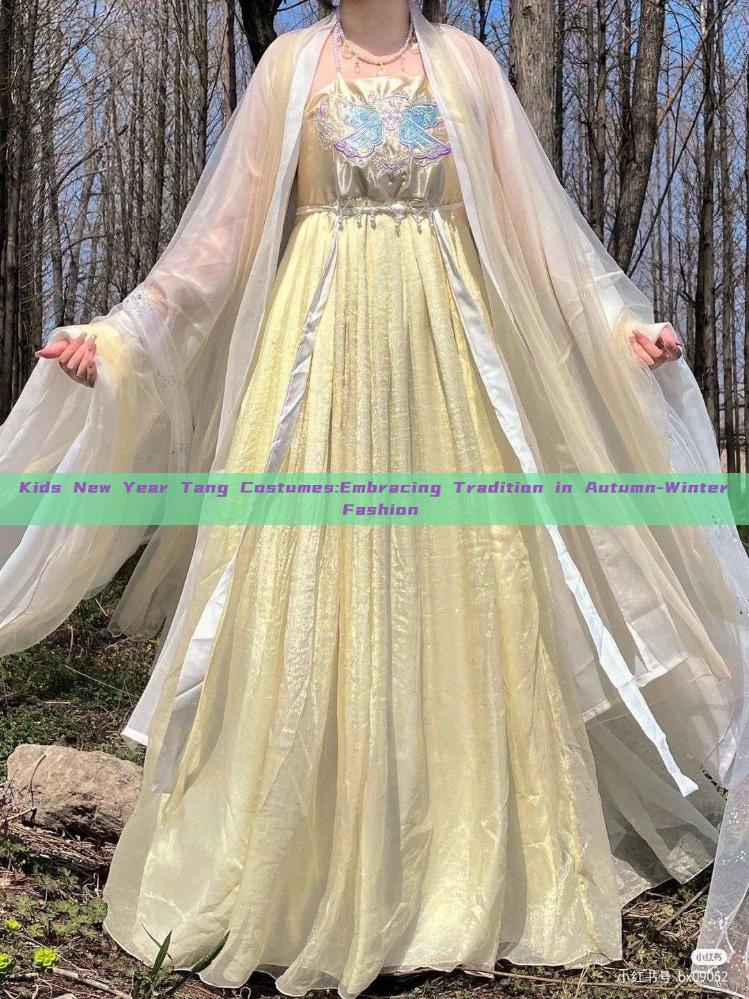 Kids New Year Tang Costumes:Embracing Tradition in Autumn-Winter Fashion Kids New Year Tang Costumes:Embracing Tradition in Autumn-Winter Fashion