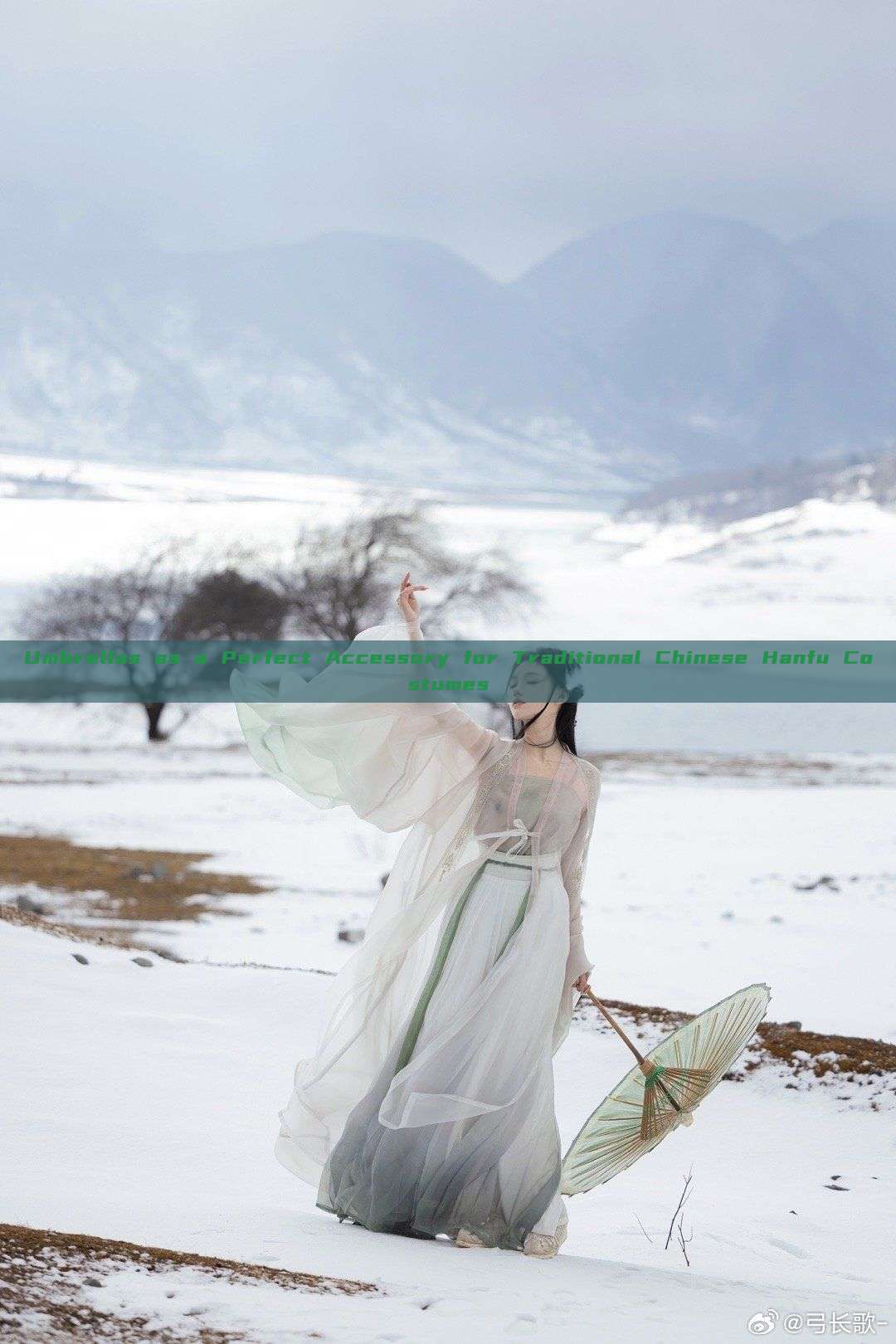 Umbrellas as a Perfect Accessory for Traditional Chinese Hanfu Costumes Umbrellas as a Perfect Accessory for Traditional Chinese Hanfu Costumes