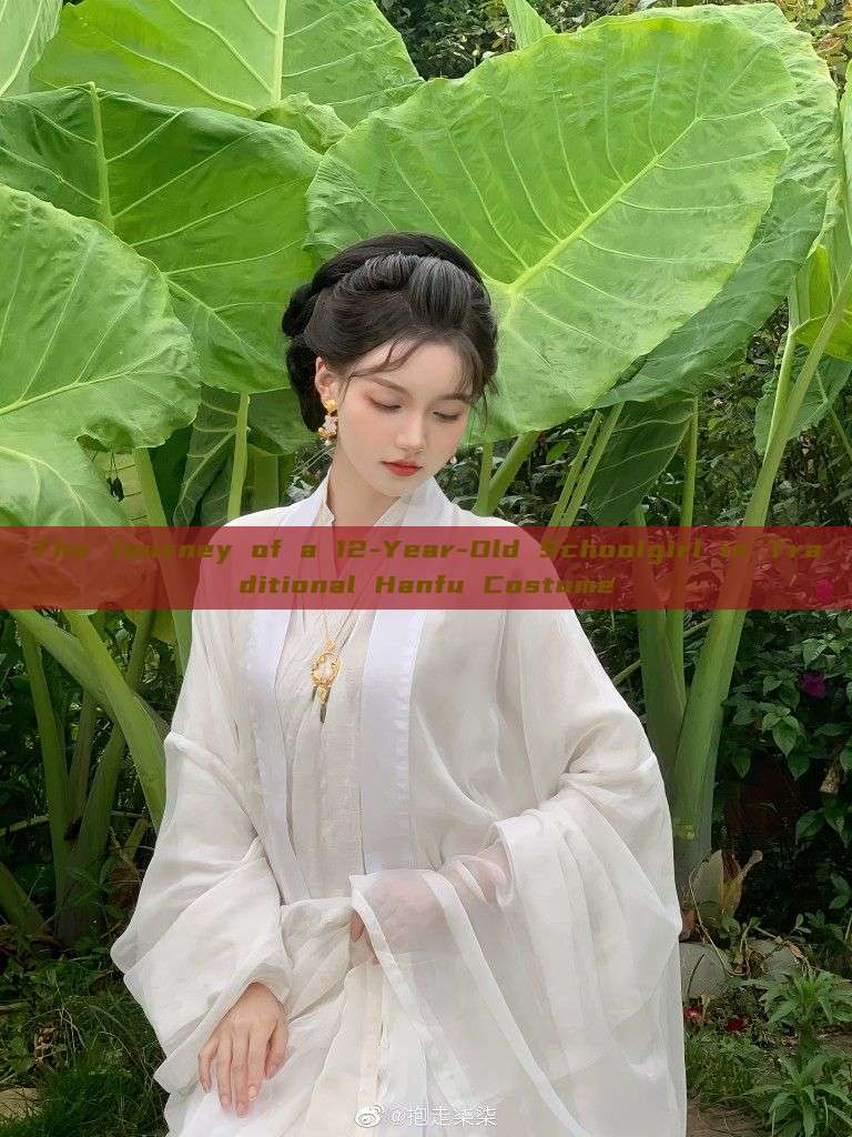 The Journey of a 12-Year-Old Schoolgirl in Traditional Hanfu Costume The Journey of a 12-Year-Old Schoolgirl in Traditional Hanfu Costume