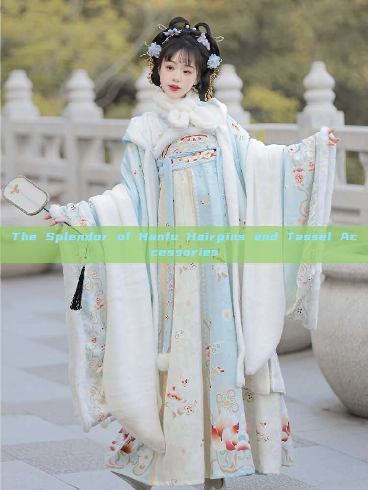 The Splendor of Hanfu Hairpins and Tassel Accessories The Splendor of Hanfu Hairpins and Tassel Accessories