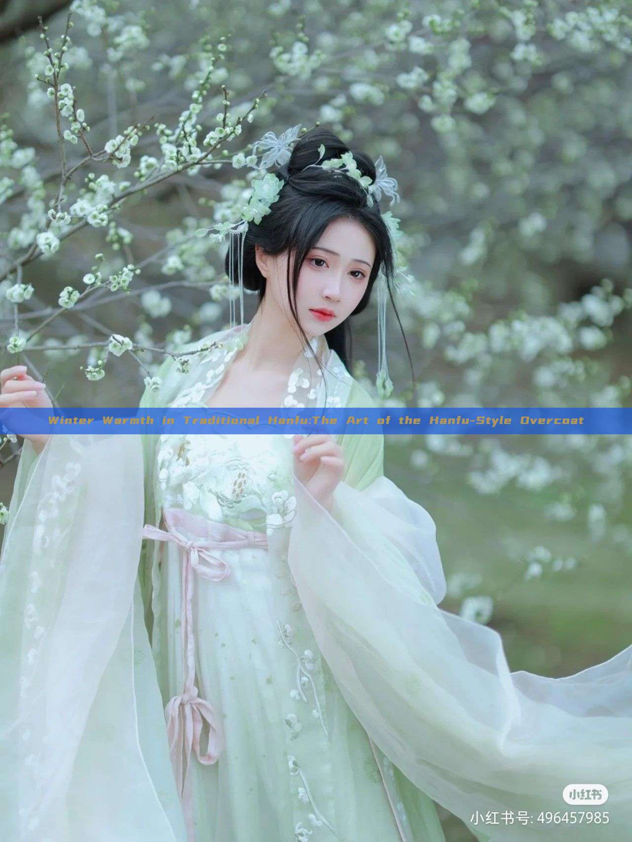 Winter Warmth in Traditional Hanfu:The Art of the Hanfu-Style Overcoat Winter Warmth in Traditional Hanfu:The Art of the Hanfu-Style Overcoat