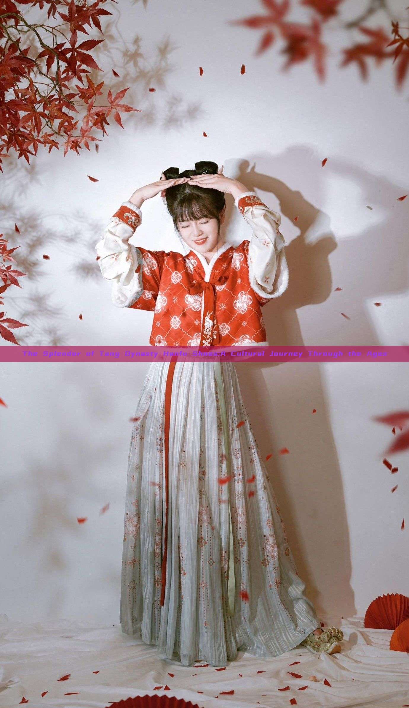 The Splendor of Tang Dynasty Hanfu Shoes:A Cultural Journey Through the Ages The Splendor of Tang Dynasty Hanfu Shoes:A Cultural Journey Through the Ages