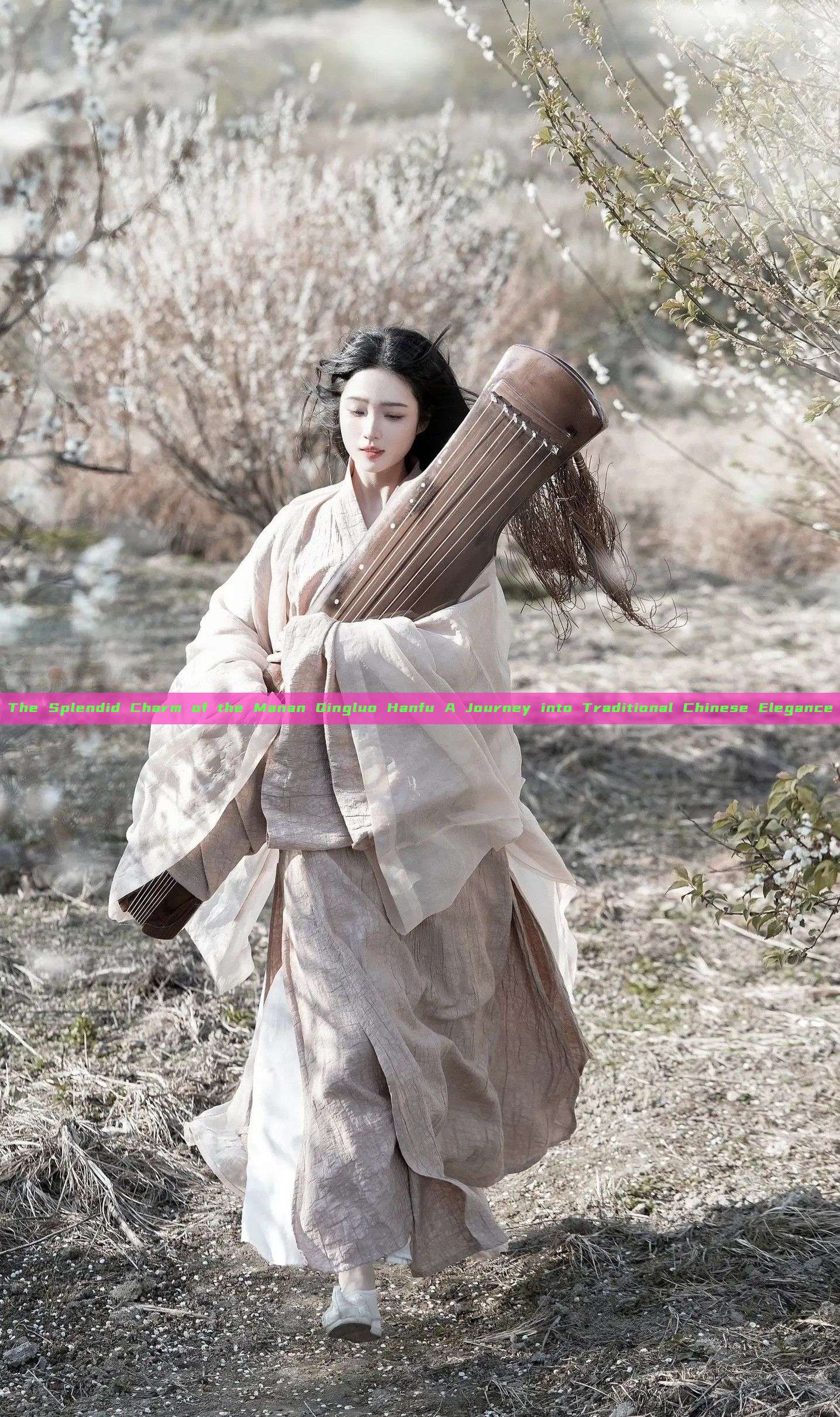 The Splendid Charm of the Manan Qingluo Hanfu A Journey into Traditional Chinese Elegance The Splendid Charm of the Manan Qingluo Hanfu A Journey into Traditional Chinese Elegance