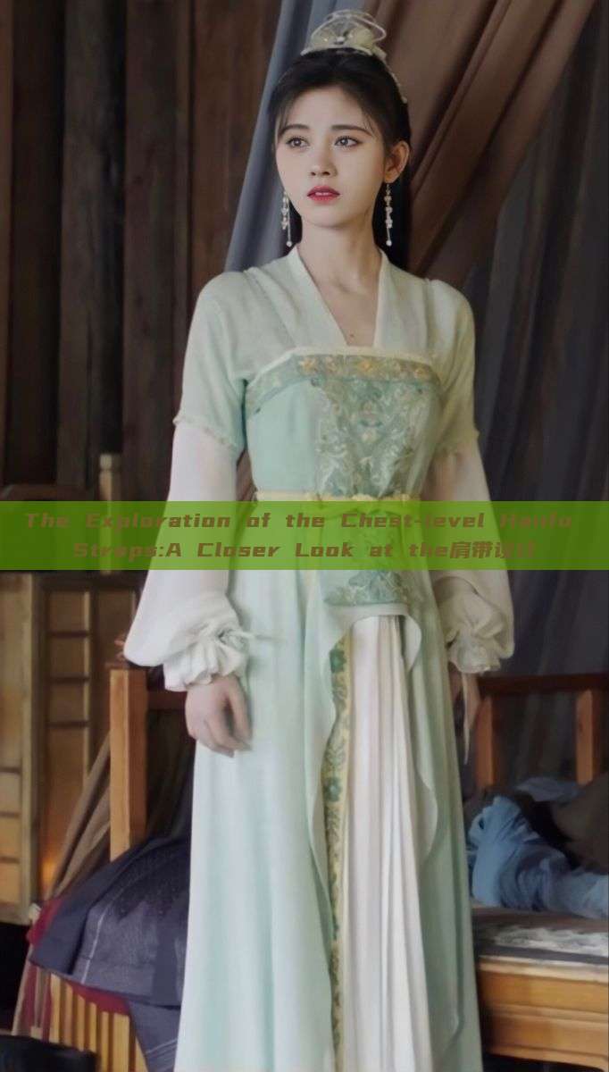The Exploration of the Chest-level Hanfu Straps:A Closer Look at the肩带设计 The Exploration of the Chest-level Hanfu Straps:A Closer Look at the肩带设计