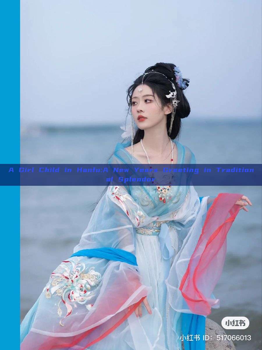 A Girl Child in Hanfu:A New Years Greeting in Traditional Splendor A Girl Child in Hanfu:A New Years Greeting in Traditional Splendor