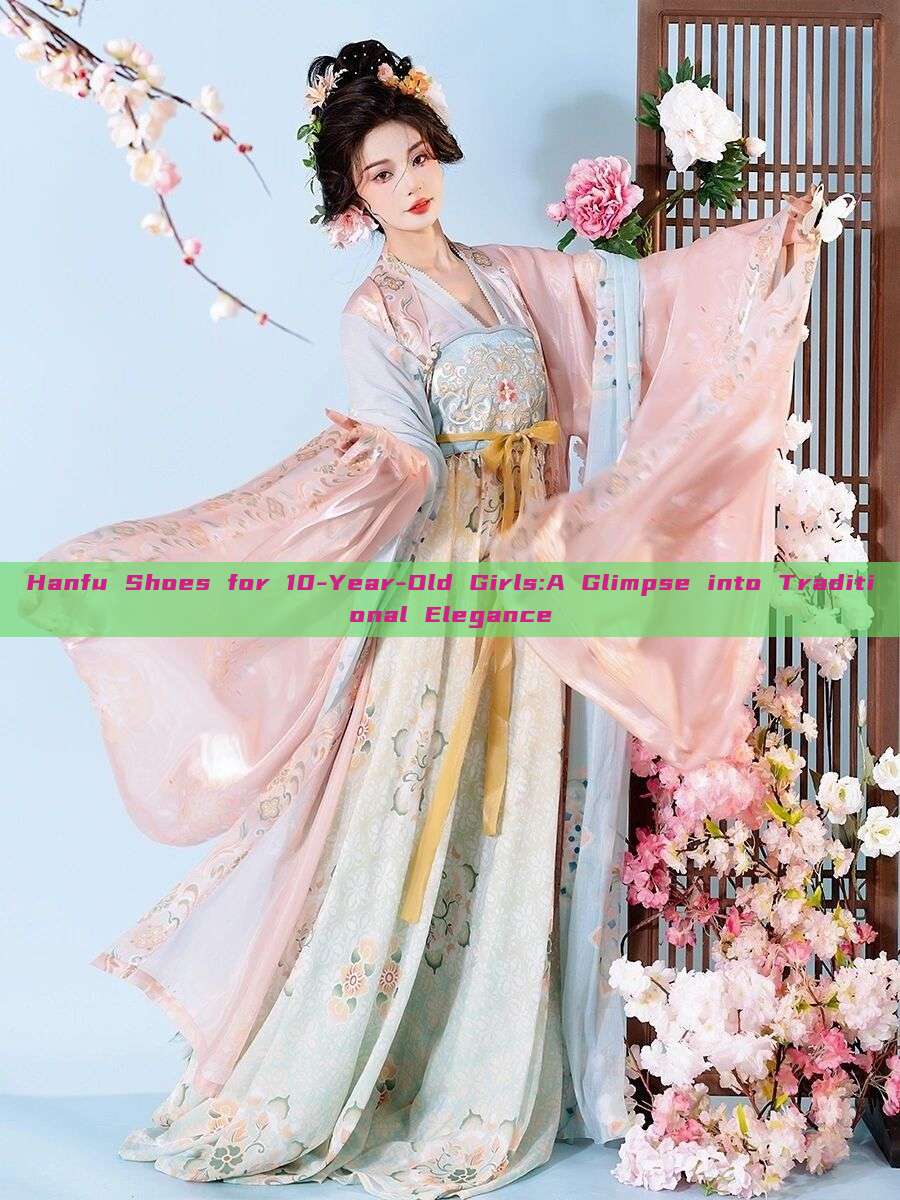 Hanfu Shoes for 10-Year-Old Girls:A Glimpse into Traditional Elegance Hanfu Shoes for 10-Year-Old Girls:A Glimpse into Traditional Elegance