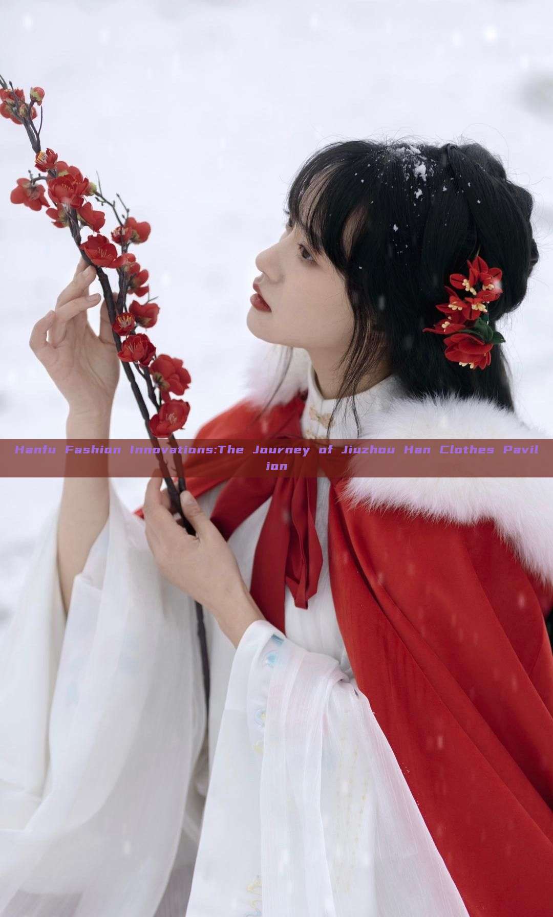 Hanfu Fashion Innovations:The Journey of Jiuzhou Han Clothes Pavilion Hanfu Fashion Innovations:The Journey of Jiuzhou Han Clothes Pavilion