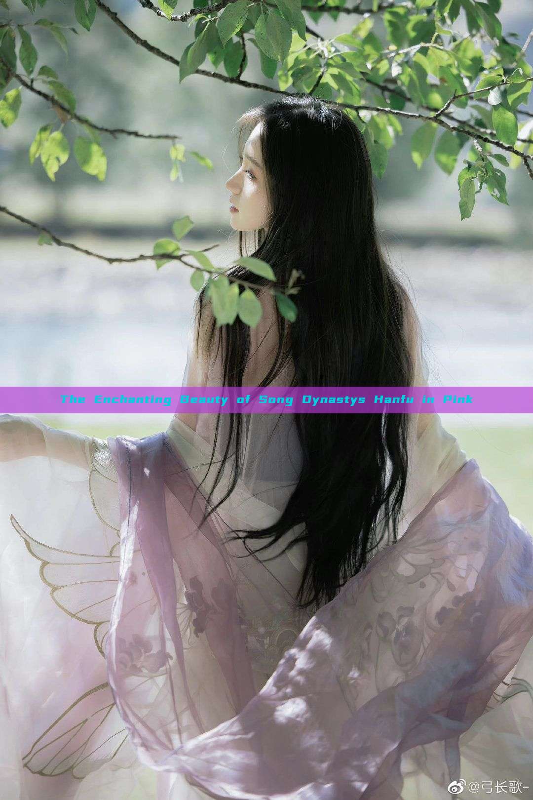The Enchanting Beauty of Song Dynastys Hanfu in Pink The Enchanting Beauty of Song Dynastys Hanfu in Pink