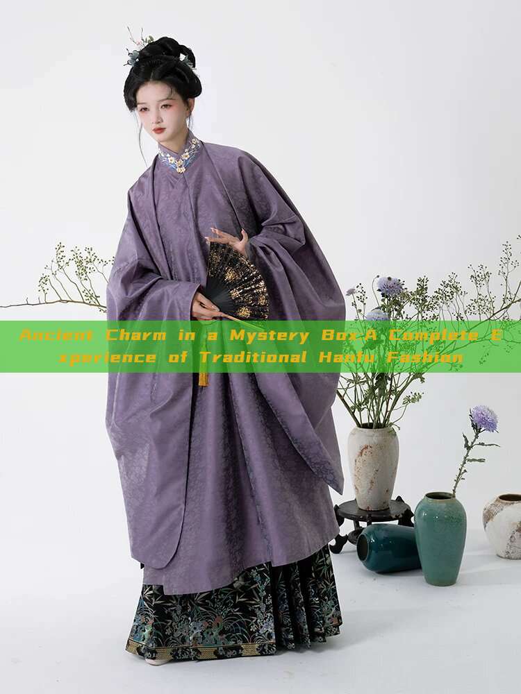 Ancient Charm in a Mystery Box:A Complete Experience of Traditional Hanfu Fashion Ancient Charm in a Mystery Box:A Complete Experience of Traditional Hanfu Fashion