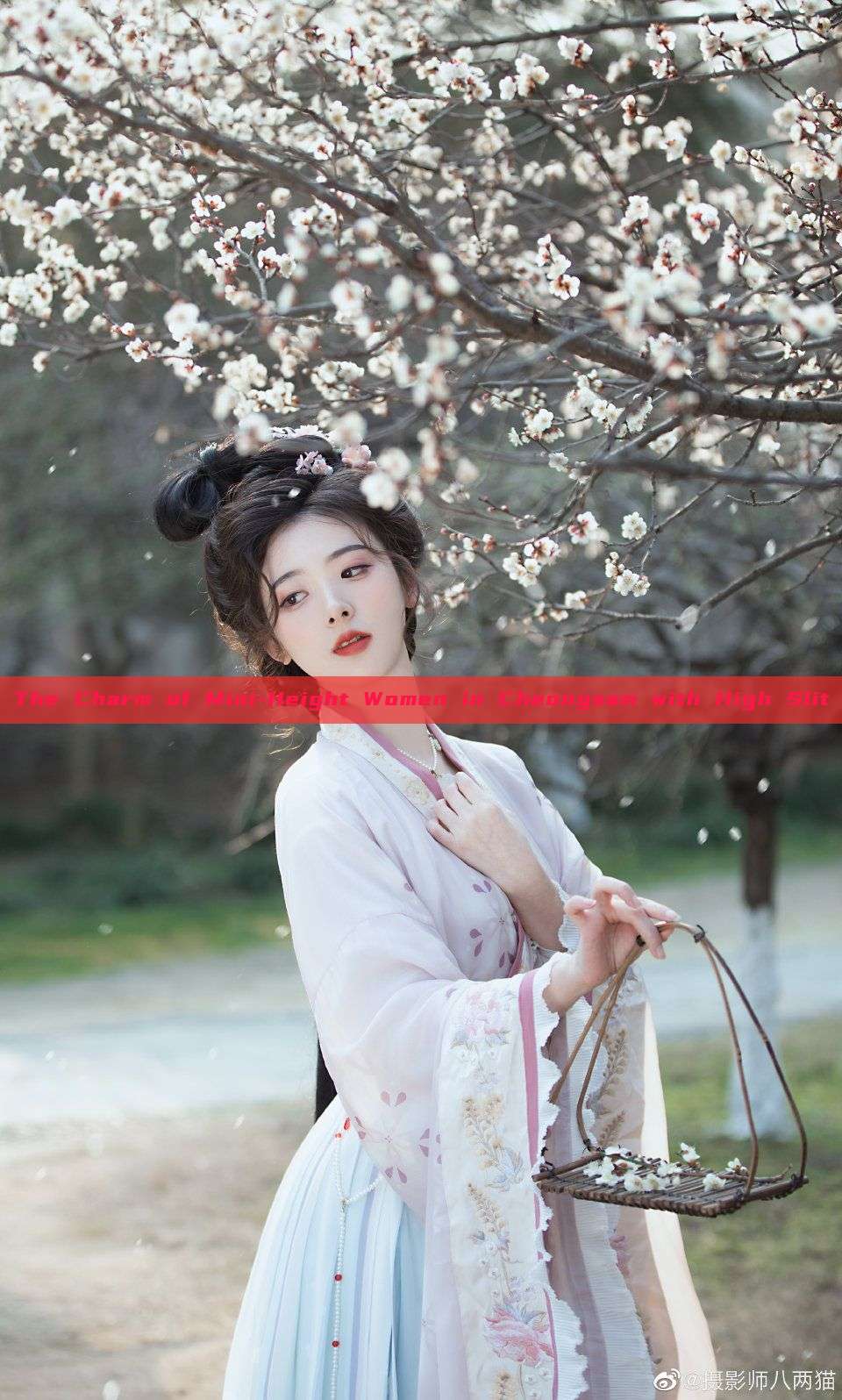 The Charm of Mini-Height Women in Cheongsam with High Slit
