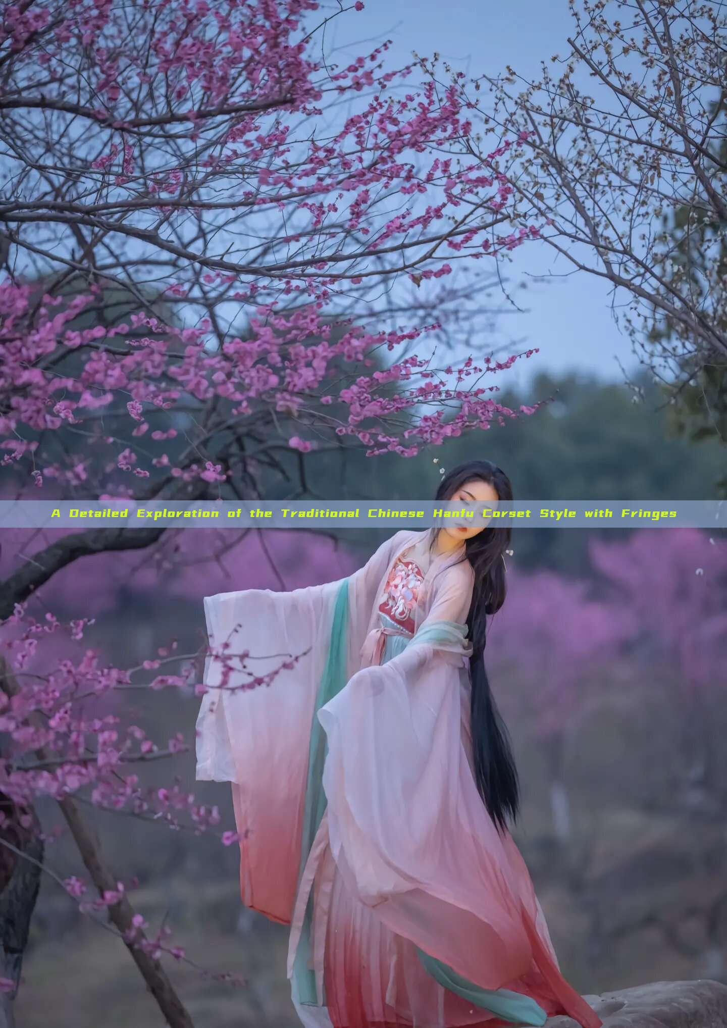 A Detailed Exploration of the Traditional Chinese Hanfu Corset Style with Fringes A Detailed Exploration of the Traditional Chinese Hanfu Corset Style with Fringes