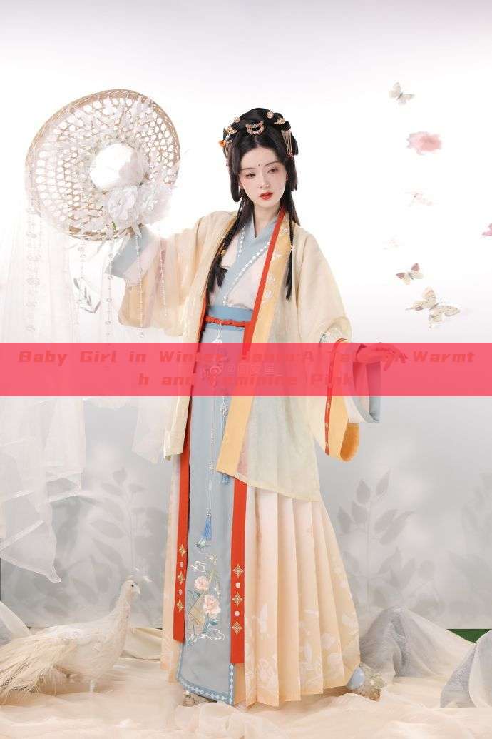 Baby Girl in Winter Hanfu:A Tale of Warmth and Feminine Pink Baby Girl in Winter Hanfu:A Tale of Warmth and Feminine Pink