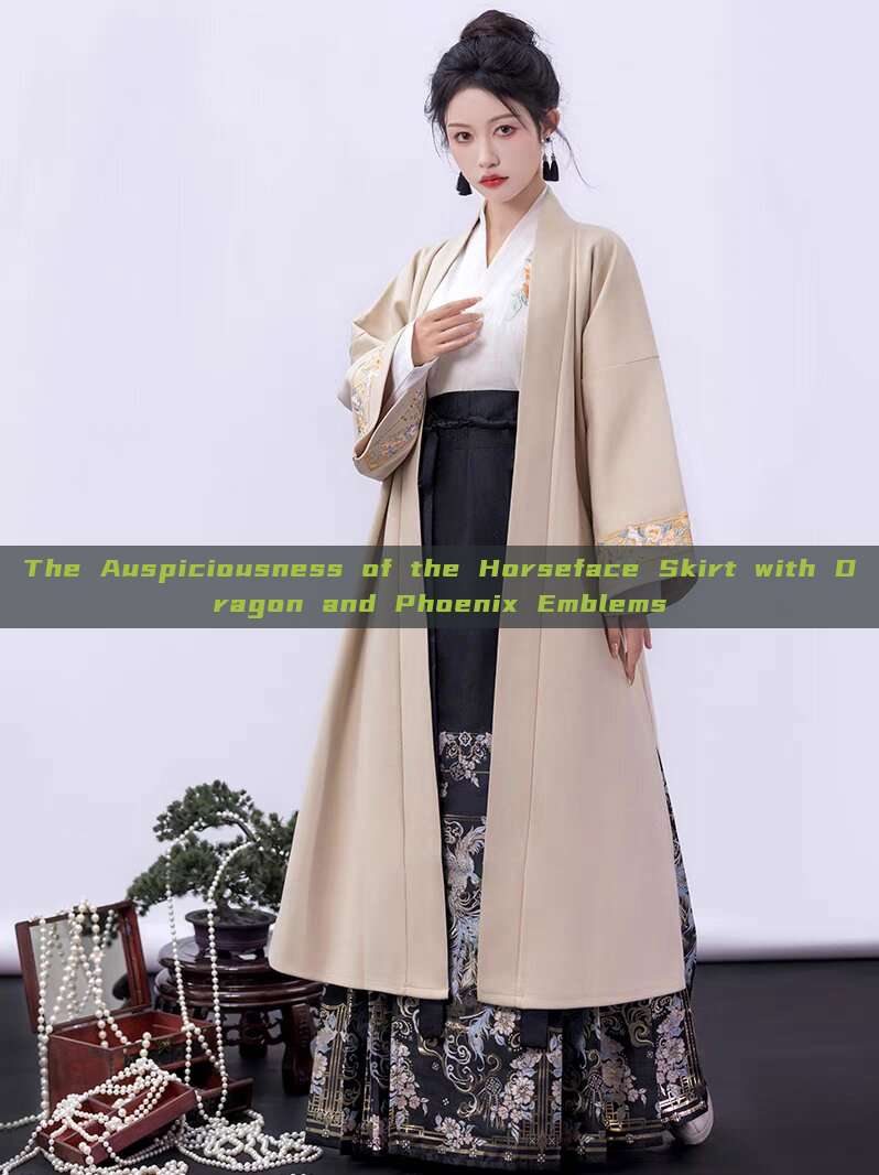 The Auspiciousness of the Horseface Skirt with Dragon and Phoenix Emblems The Auspiciousness of the Horseface Skirt with Dragon and Phoenix Emblems