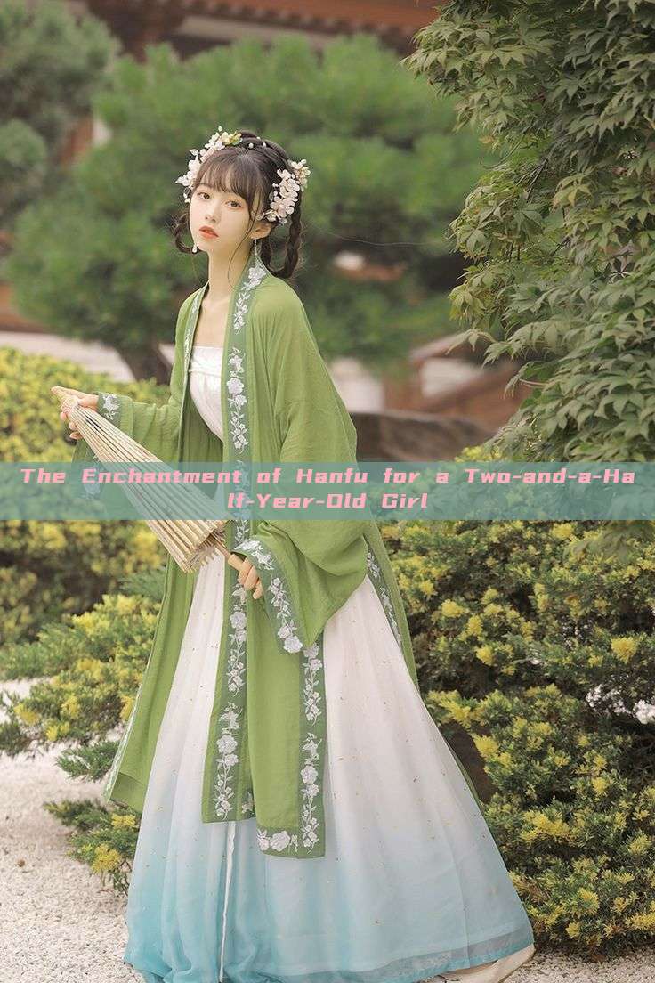 The Enchantment of Hanfu for a Two-and-a-Half-Year-Old Girl The Enchantment of Hanfu for a Two-and-a-Half-Year-Old Girl