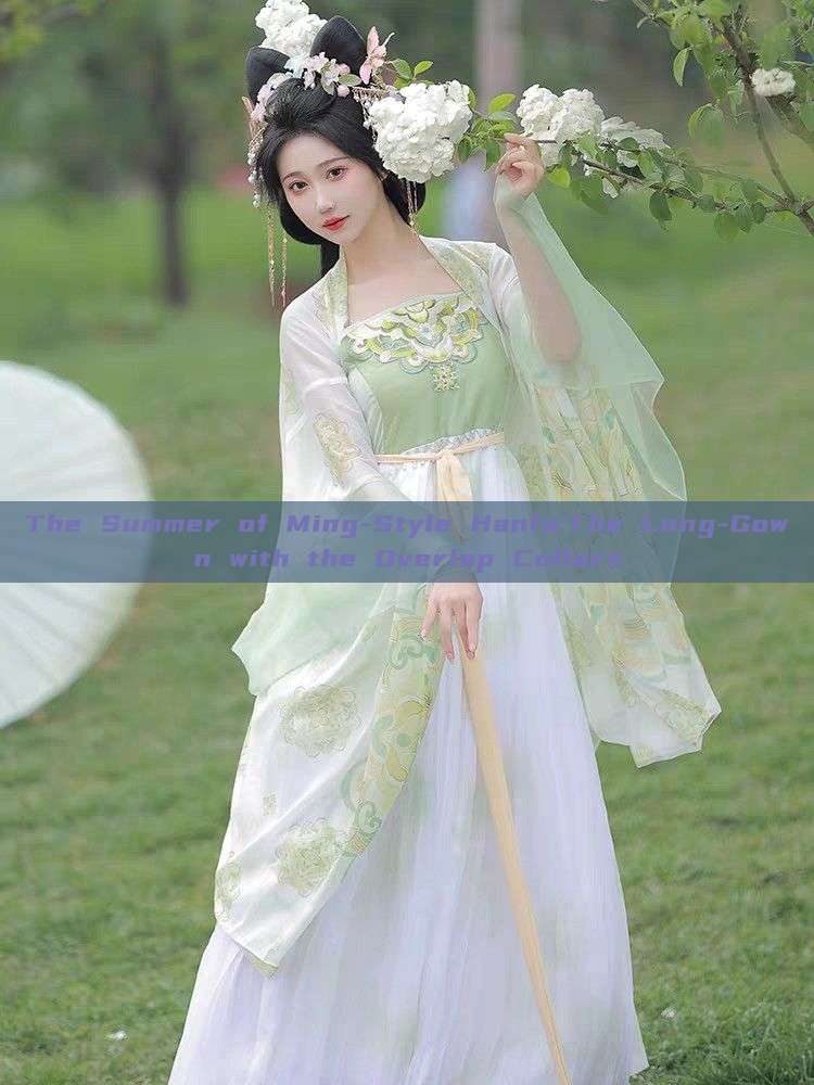 The Summer of Ming-Style Hanfu:The Long-Gown with the Overlap Collars