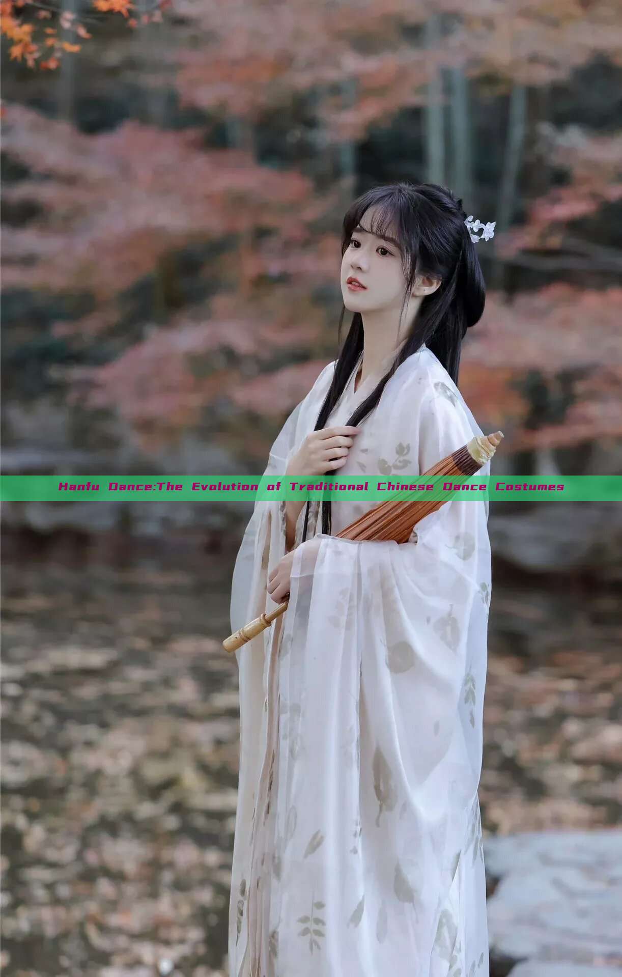 Hanfu Dance:The Evolution of Traditional Chinese Dance Costumes Hanfu Dance:The Evolution of Traditional Chinese Dance Costumes