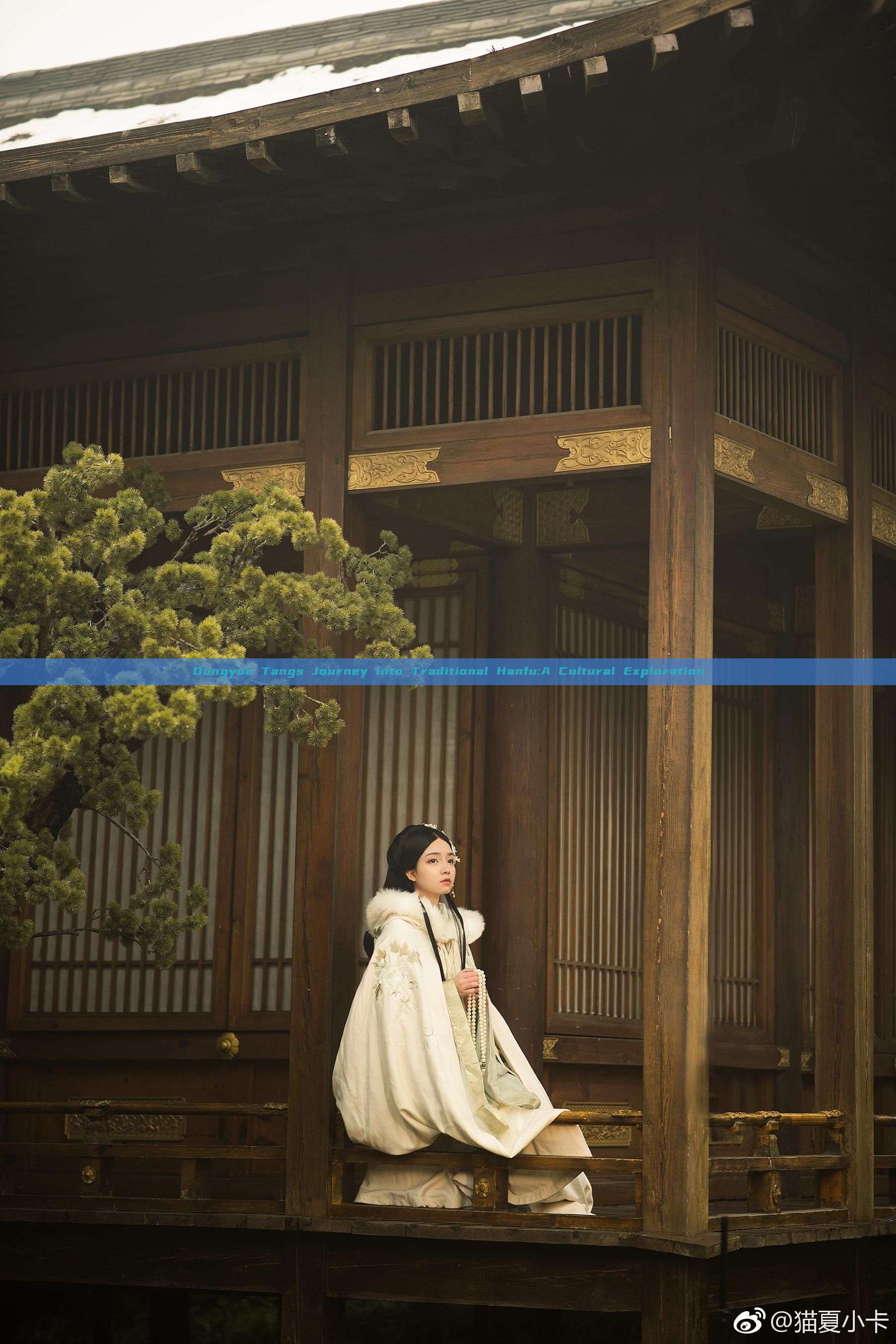 Dongyue Tangs Journey into Traditional Hanfu:A Cultural Exploration Dongyue Tangs Journey into Traditional Hanfu:A Cultural Exploration