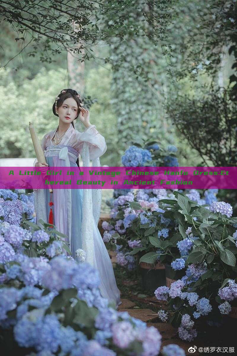 A Little Girl in a Vintage Chinese Hanfu Dress:Ethereal Beauty in Ancient Fashion A Little Girl in a Vintage Chinese Hanfu Dress:Ethereal Beauty in Ancient Fashion