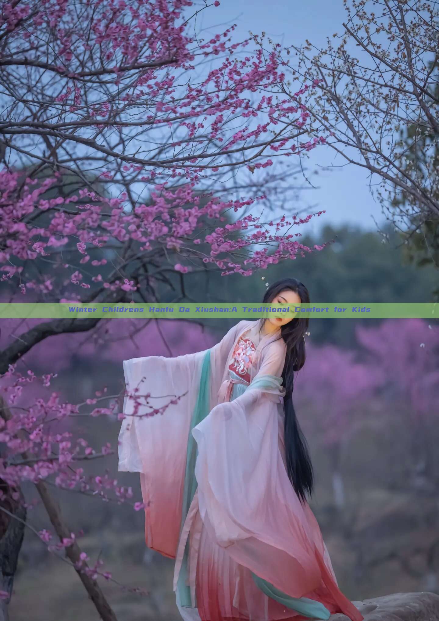 Winter Childrens Hanfu Da Xiushan:A Traditional Comfort for Kids Winter Childrens Hanfu Da Xiushan:A Traditional Comfort for Kids