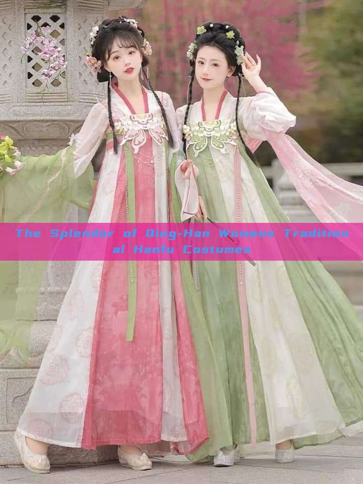 The Splendor of Qing-Han Womens Traditional Hanfu Costumes