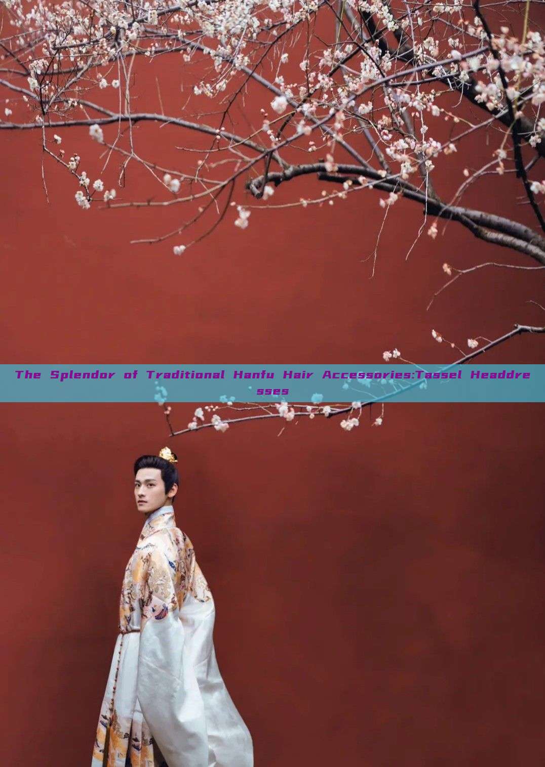 The Splendor of Traditional Hanfu Hair Accessories:Tassel Headdresses The Splendor of Traditional Hanfu Hair Accessories:Tassel Headdresses
