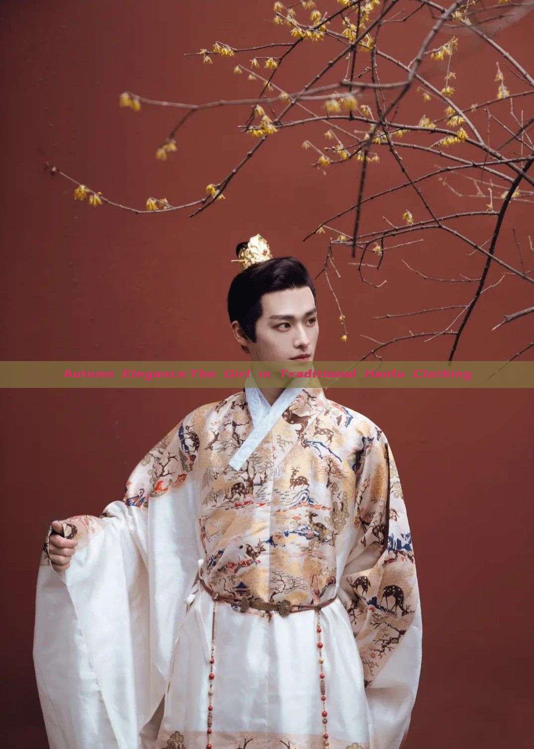Autumn Elegance:The Girl in Traditional Hanfu Clothing Autumn Elegance:The Girl in Traditional Hanfu Clothing