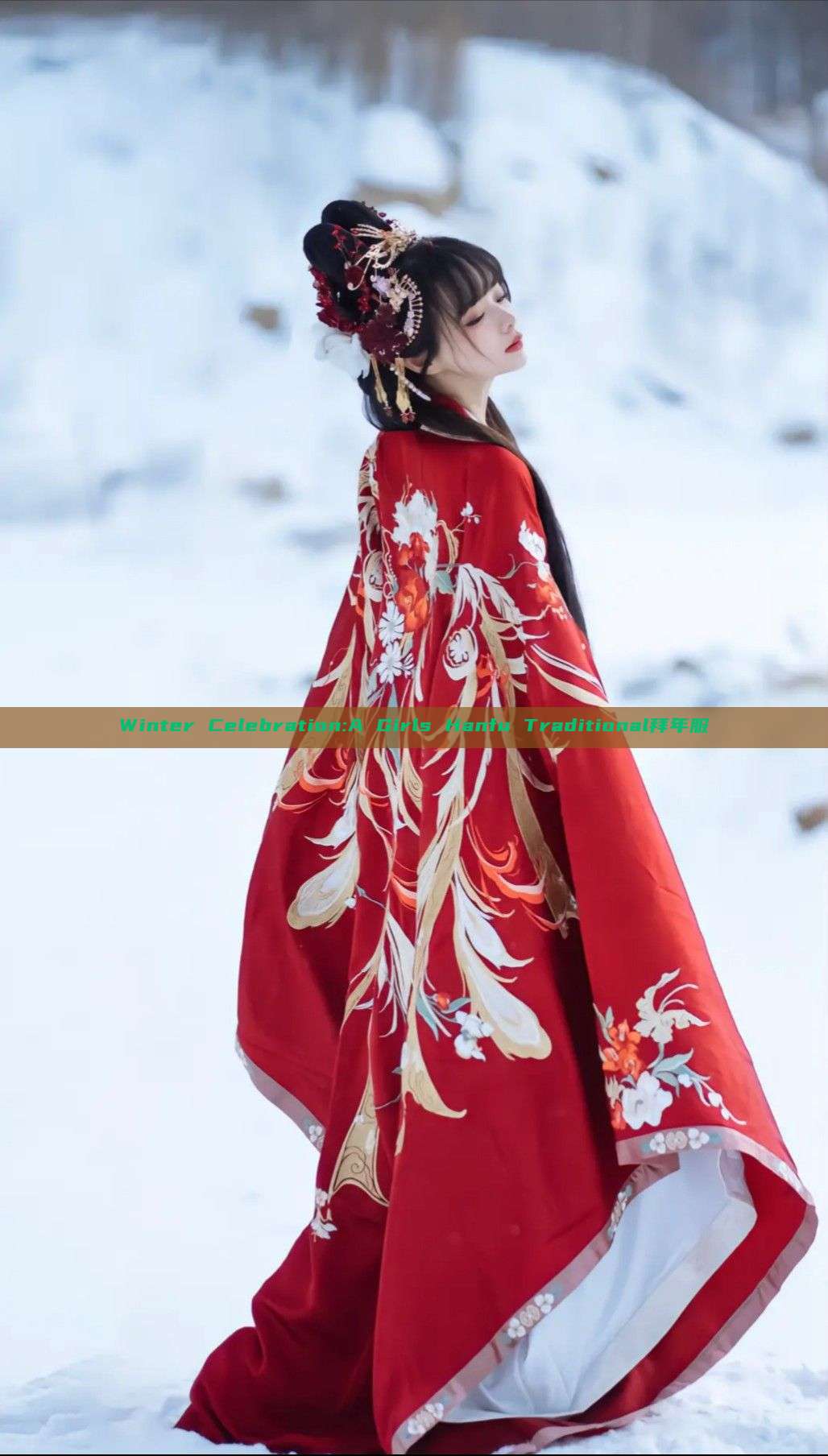 Winter Celebration:A Girls Hanfu Traditional拜年服 Winter Celebration:A Girls Hanfu Traditional拜年服