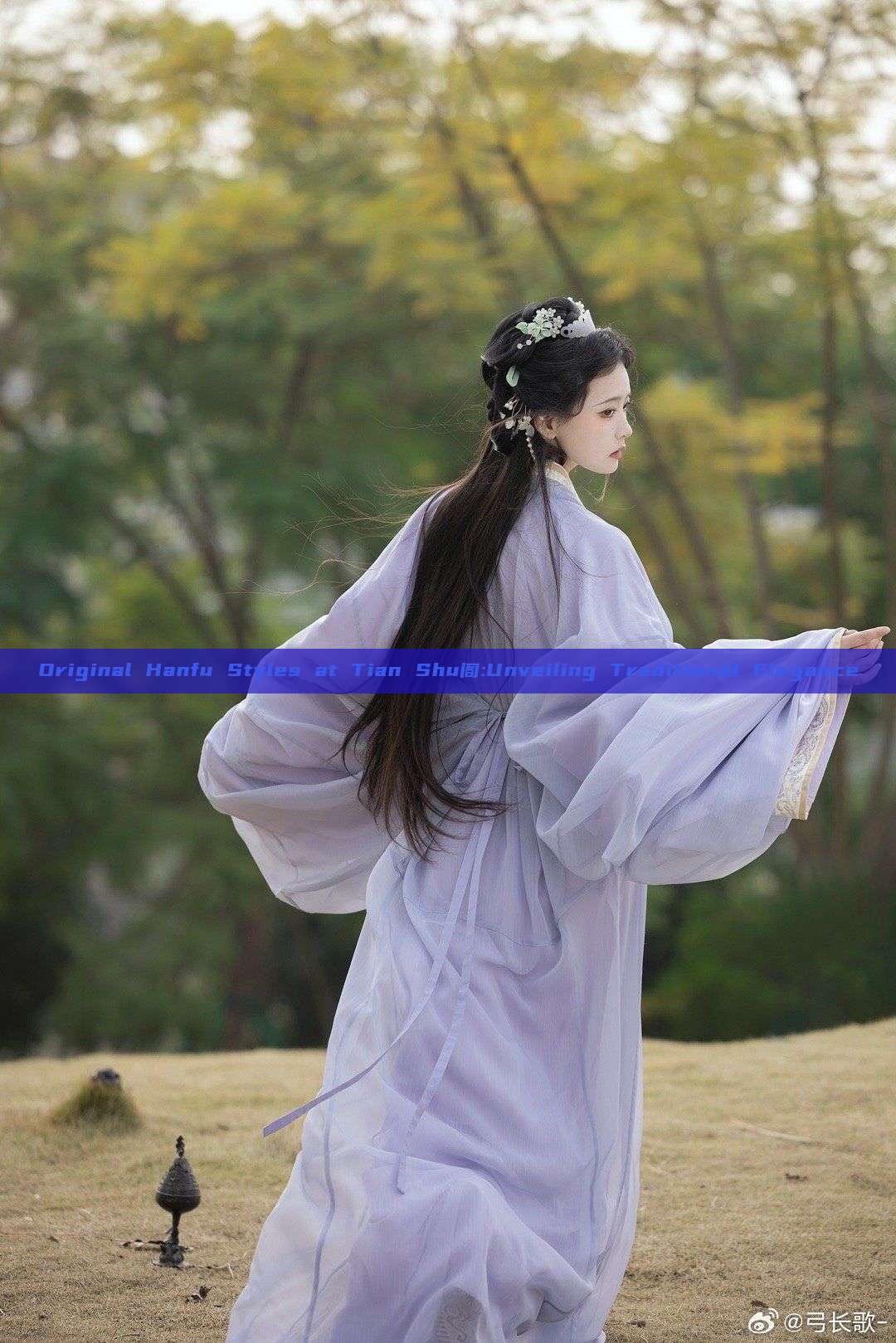 Original Hanfu Styles at Tian Shu阁:Unveiling Traditional Elegance Original Hanfu Styles at Tian Shu阁:Unveiling Traditional Elegance
